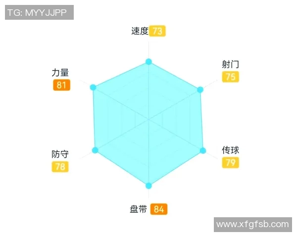六边形足球明星的魅力与成就探讨以及他们对足球的影响分析